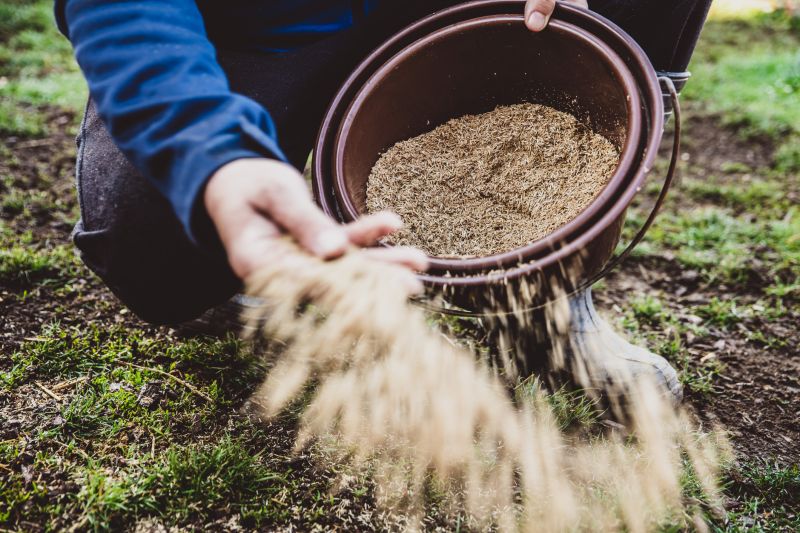 Commercial Grass Seeding in Ventura County, CA