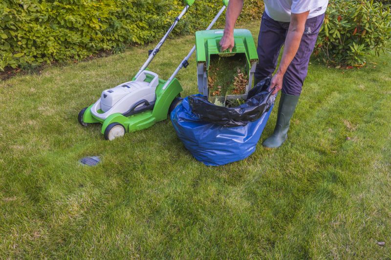 Seasonal Lawn Maintenance in Ventura County, CA