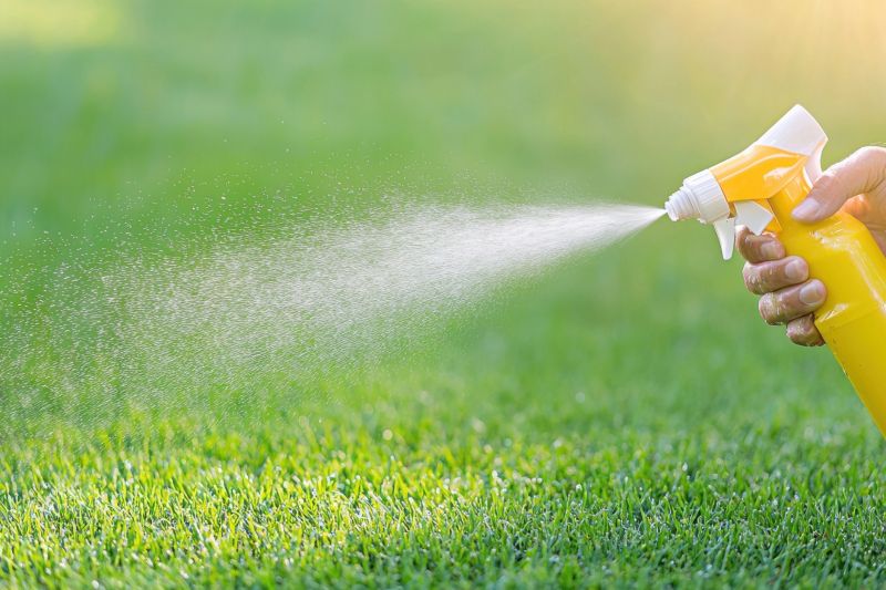 Slope Weed Control in Aiken, SC