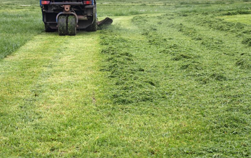 Tractor Mowing in Duluth, MN