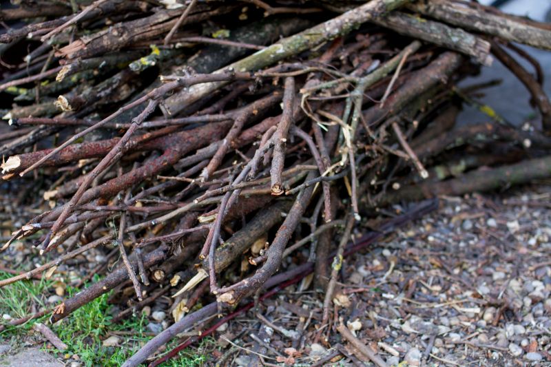 Tree Branch Disposal in Honolulu, HI