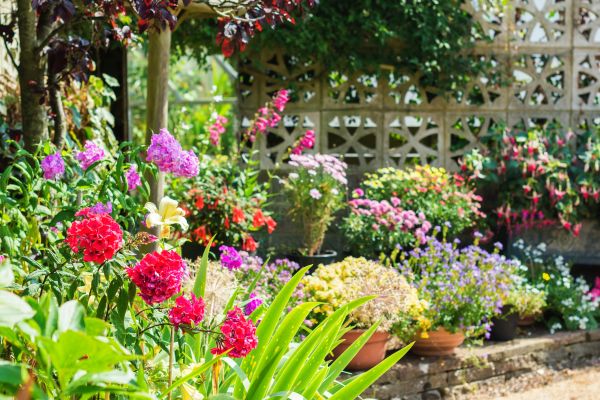 Spring Yard Care - Spring Yard Care Lapeer, Michigan