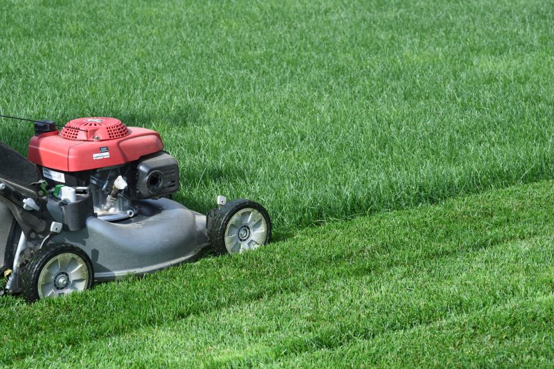 Brush Mowing Service in Waldorf, MD