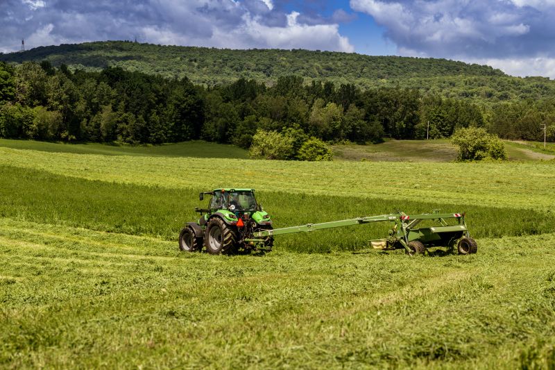 Brush Mowing Service in Calvert County, MD