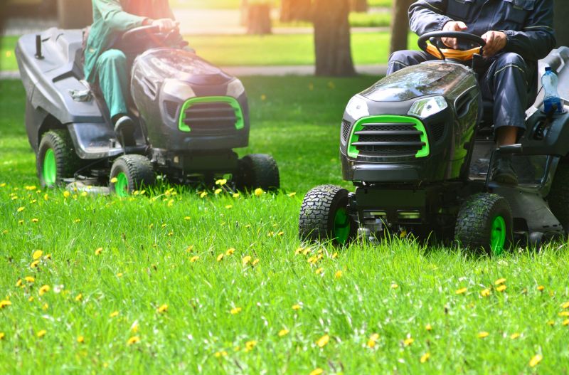 Brush Mowing Service in Duluth, MN