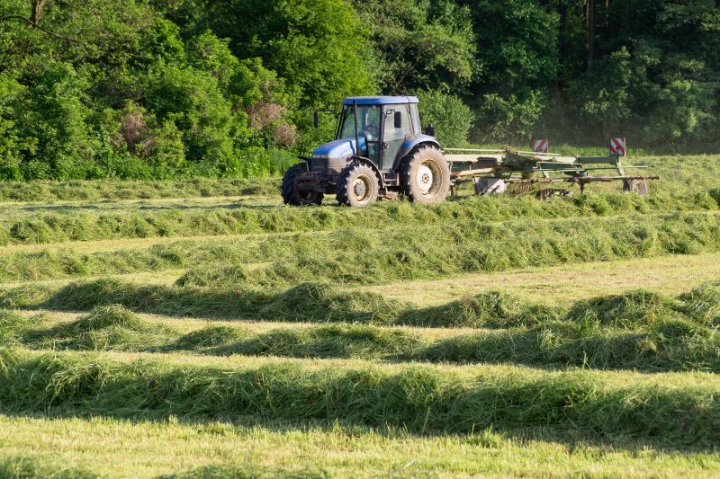 Bush Hogging Service in Calvert County, MD