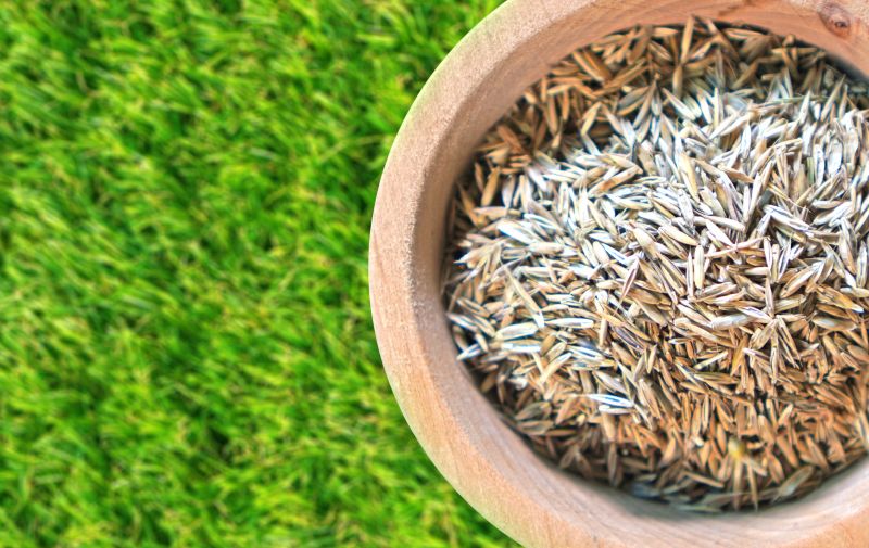 Commercial Grass Seeding in Honolulu, HI