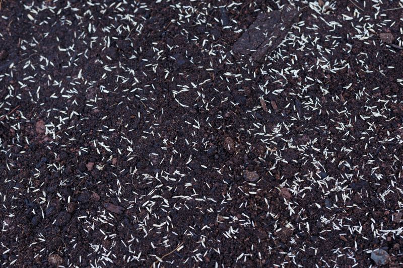 Commercial Lawn Seeding in Honolulu, HI