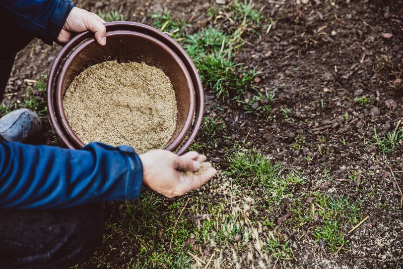 Commercial Lawn Seeding in Ventura County, CA