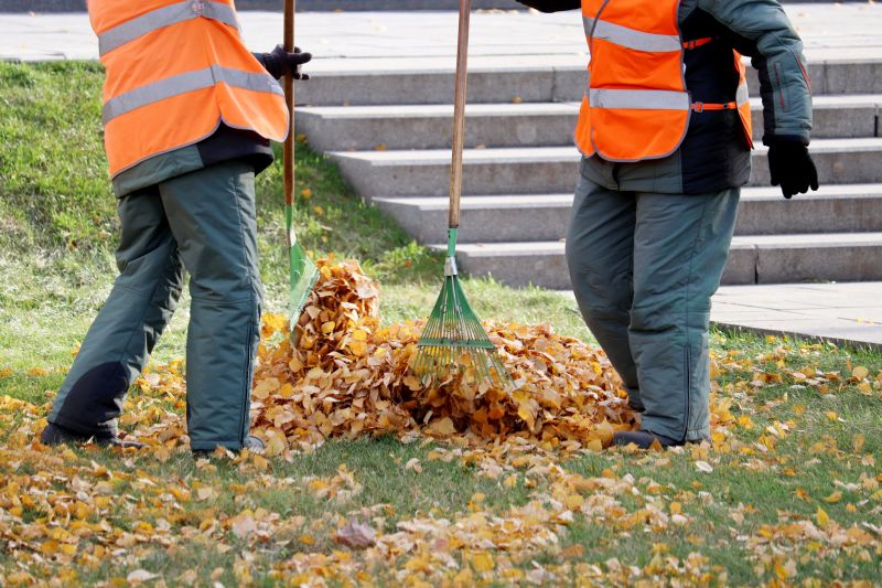Commercial Leaf Removal in Honolulu, HI