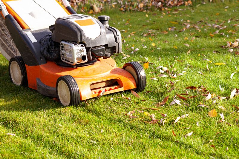 Fall Lawn Care in Bowie, MD