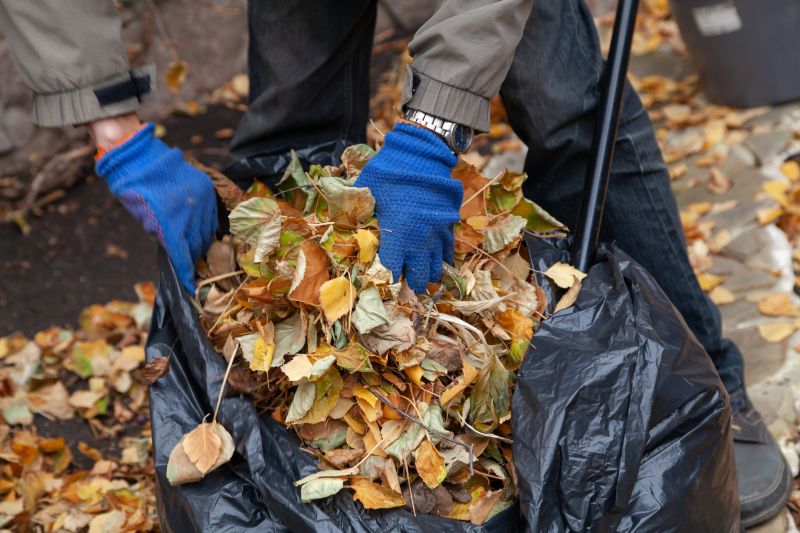 Cleaned-Up Lawn with Fallen Leaves