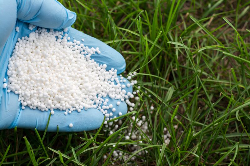 Fall Lawn Fertilizing in Ventura County, CA