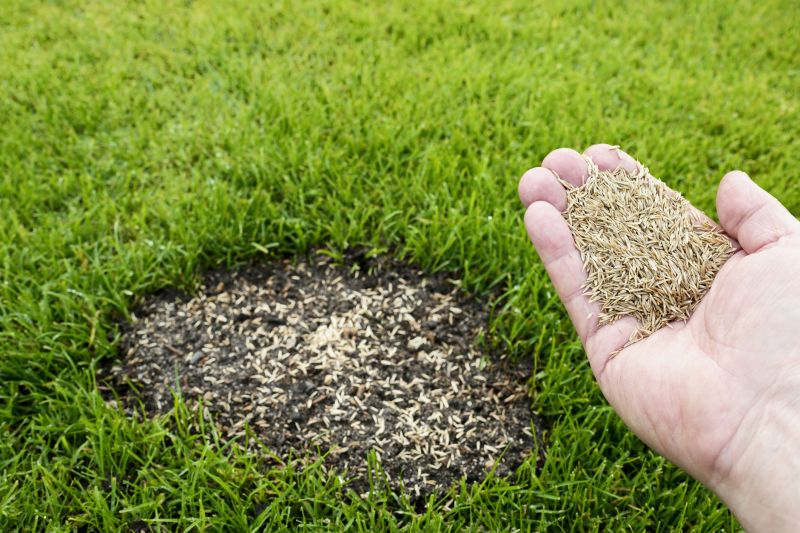 Fall Lawn Seeding in Honolulu, HI
