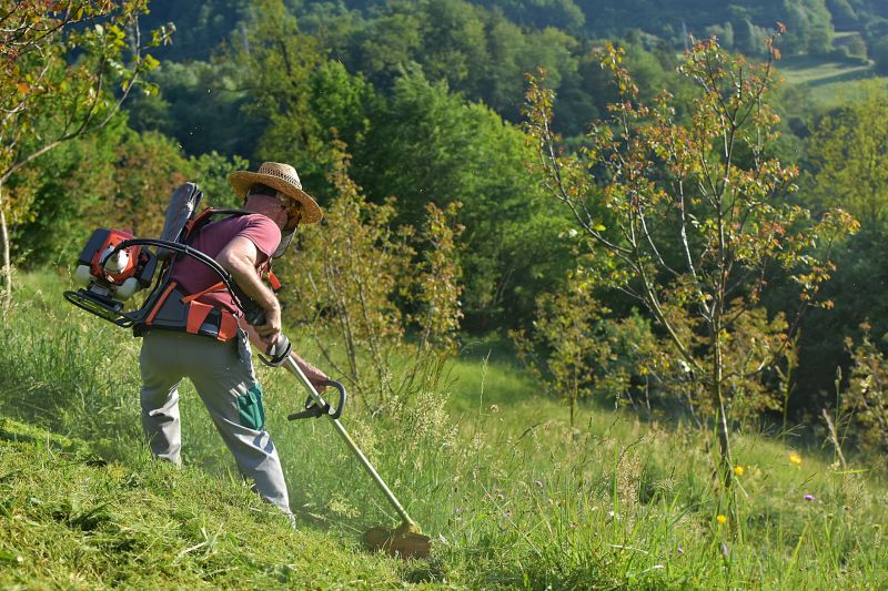 Grass Cutting Service in Bowie, MD