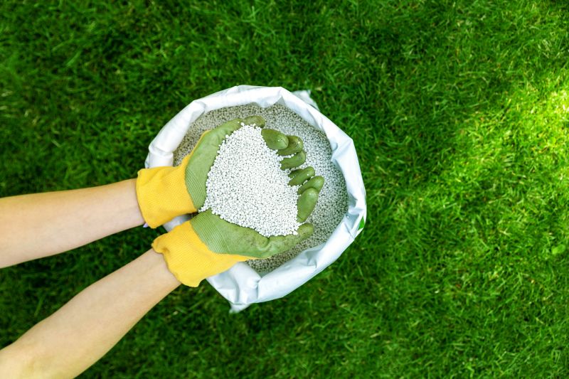 Grass Fertilizing Service in Ventura County, CA