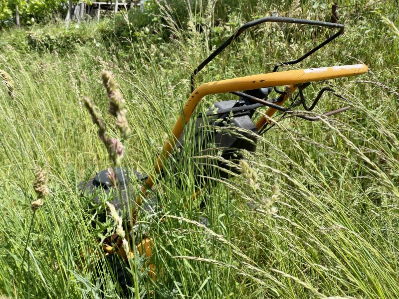 Grass Mowing in Bowie, MD
