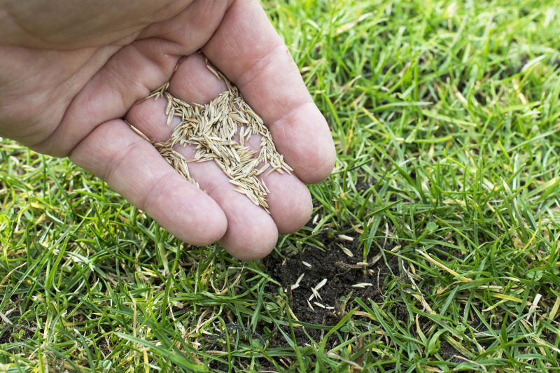 Grass Seeding Service in Ventura County, CA