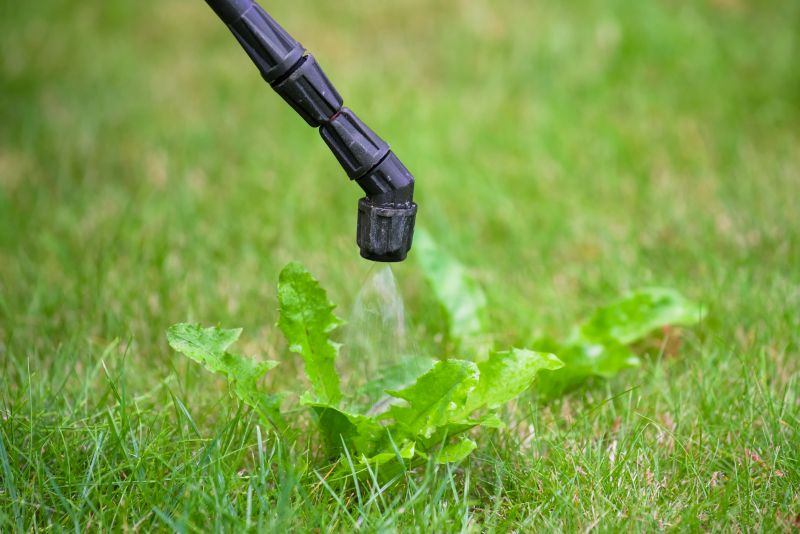 Lawn Herbicide Treatment in Ventura County, CA