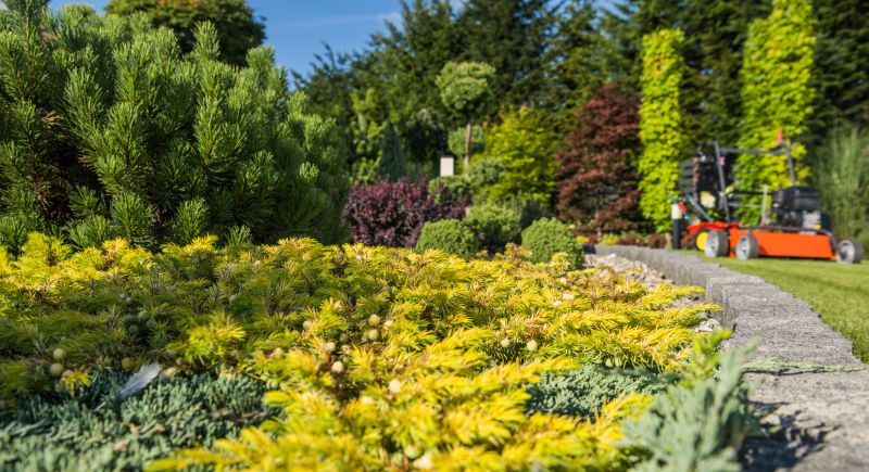 Lawn Management in Bowie, MD