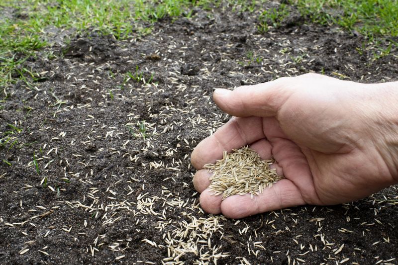 Lawn Seeding in Ventura County, CA