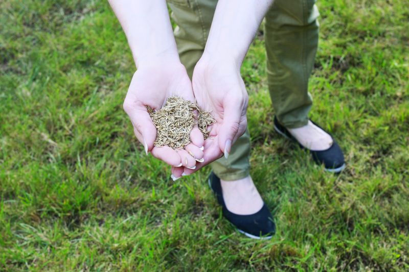 Lawn Seeding in Ventura County, CA