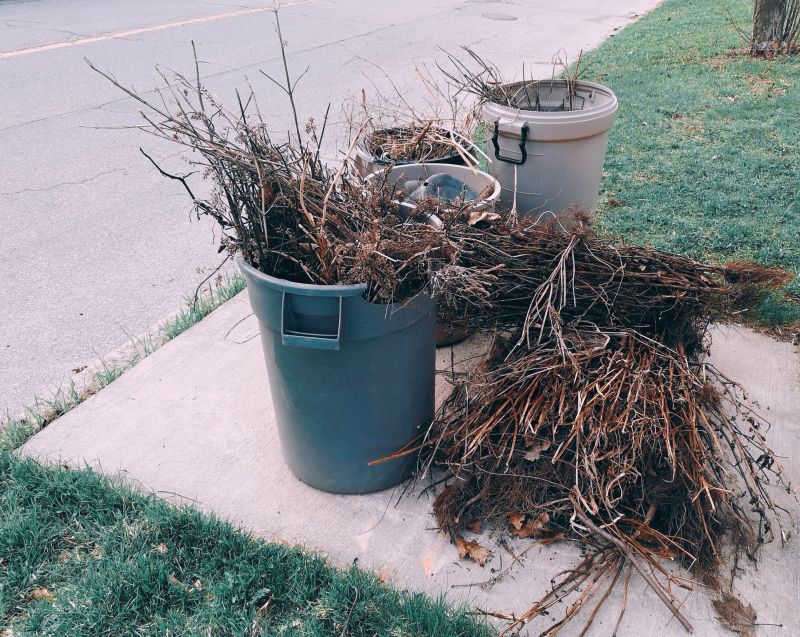Lawn Waste Removal in Honolulu, HI