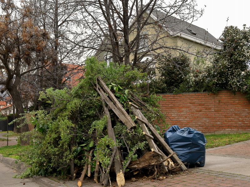 Lawn Waste Removal in Honolulu, HI