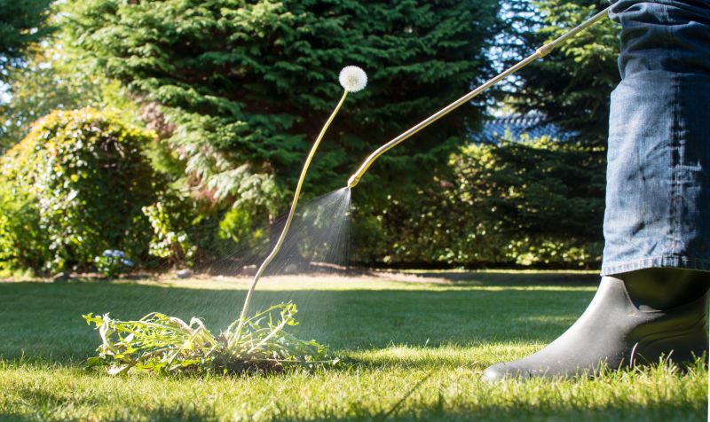 Lawn Weed Control in Aiken, SC