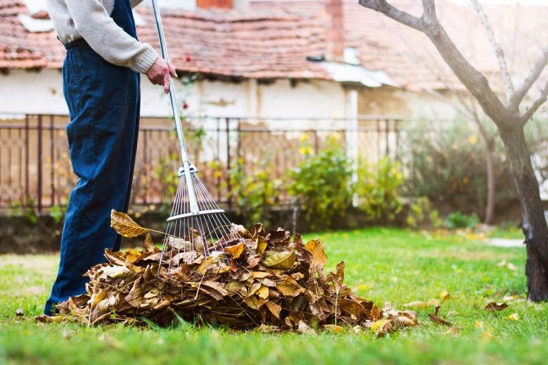 Leaf Raking Service in Ventura County, CA