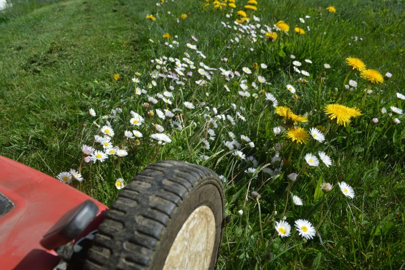 Meadow Mowing in Duluth, MN