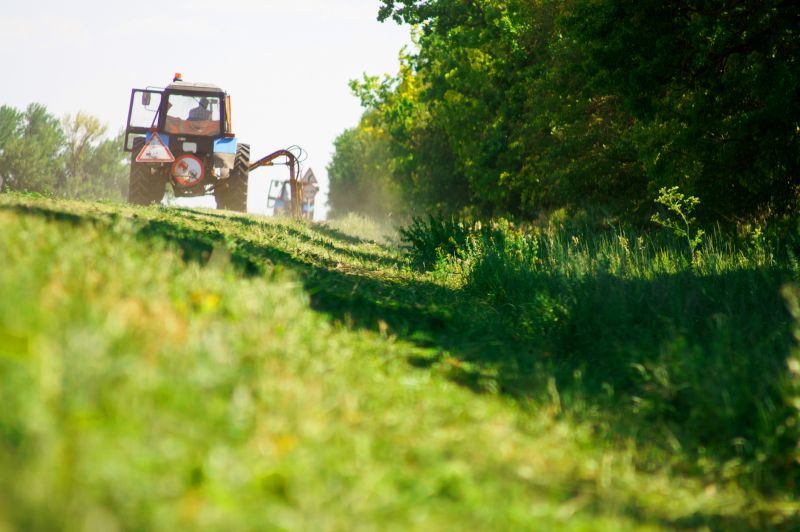 Pasture Bush Hogging in Duluth, MN