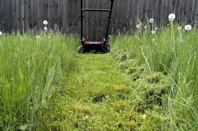 Pasture Mowing in Duluth, MN