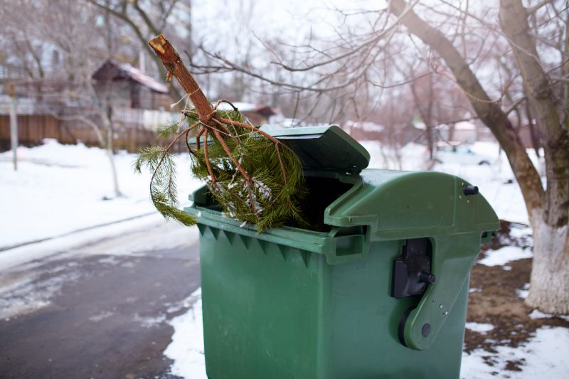Pine Needles Removal in Ventura County, CA