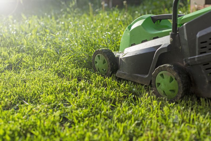 Residential Yard Mowing in Bowie, MD