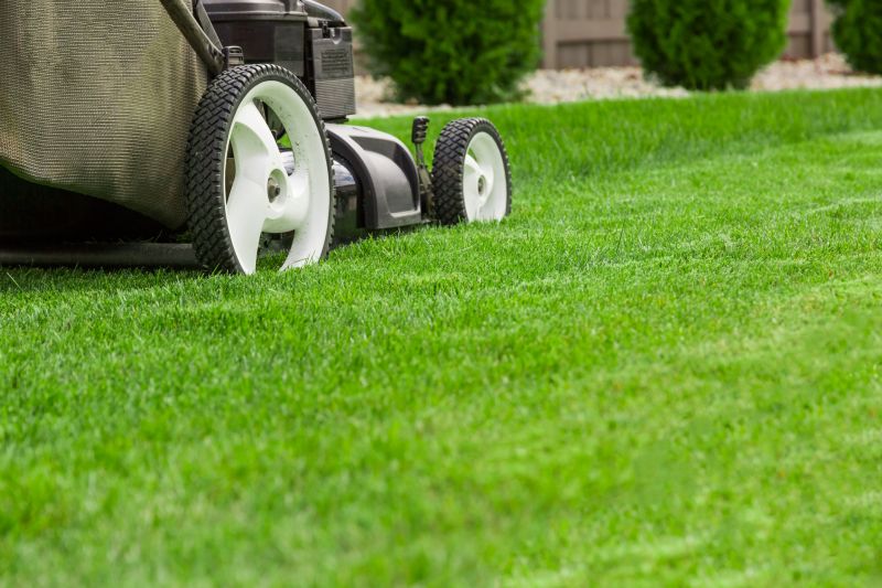 Seasonal Lawn Care in Bowie, MD