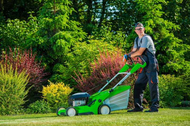 Summer Lawn Care in Bowie, MD