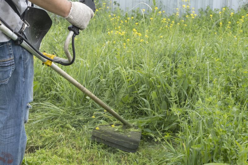 Tall Grass Mowing in Bowie, MD
