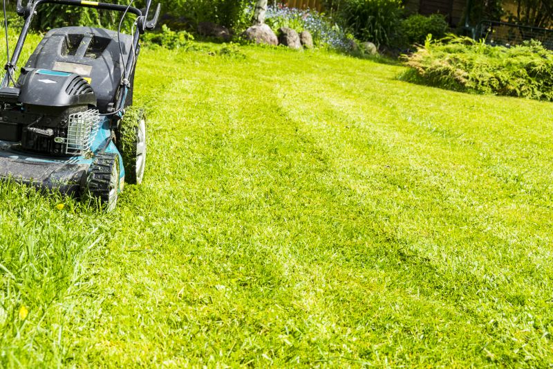 Vacant Lot Mowing in Waldorf, MD