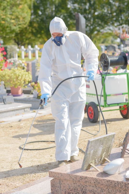 Weed Prevention Service in Honolulu, HI