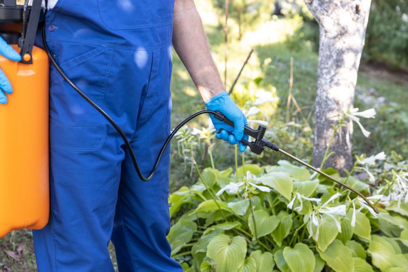 Weed Spraying in Ventura County, CA