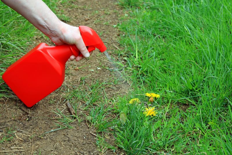 Weed Spraying in Rockwall, TX