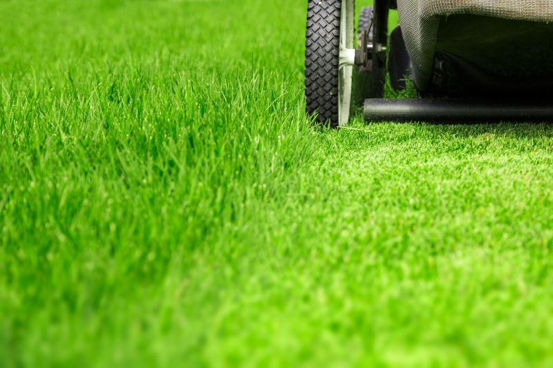 Weekly Lawn Care in Bowie, MD