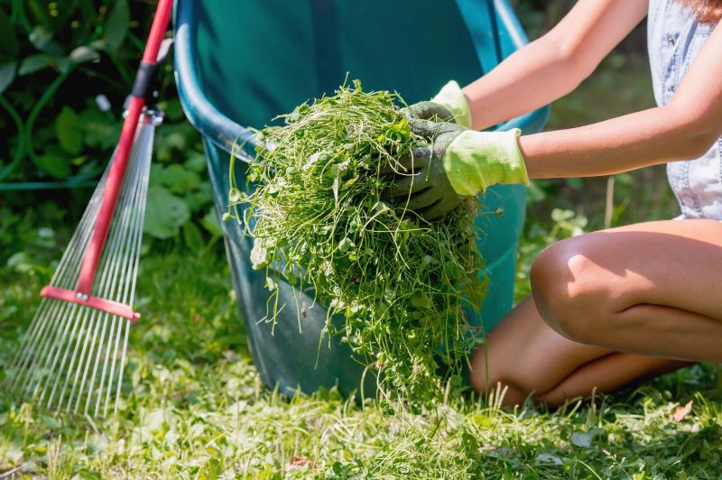 Yard Cleanup Service in Honolulu, HI