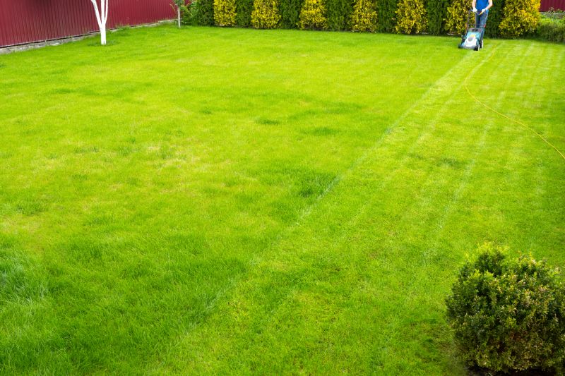 Yard Upkeep Service in Bowie, MD